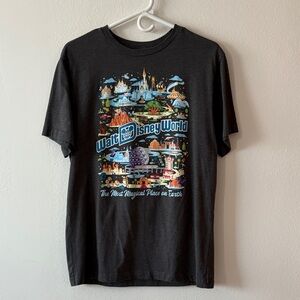 Disney Charcoal Gray Disney World Tee Size M